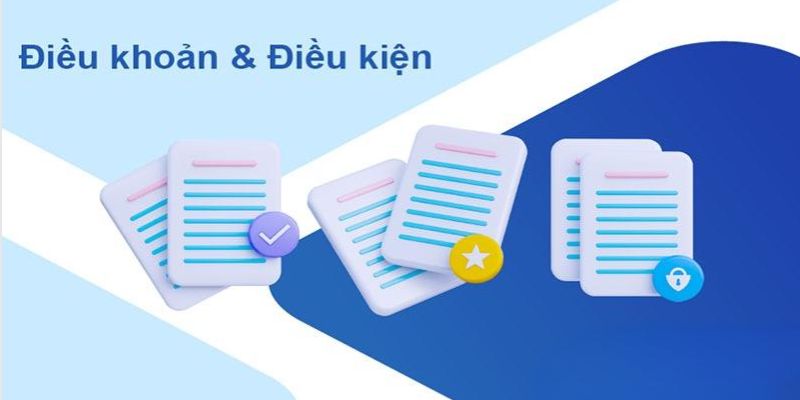 Những thông tin chính về điều khoản và điều kiện tại 